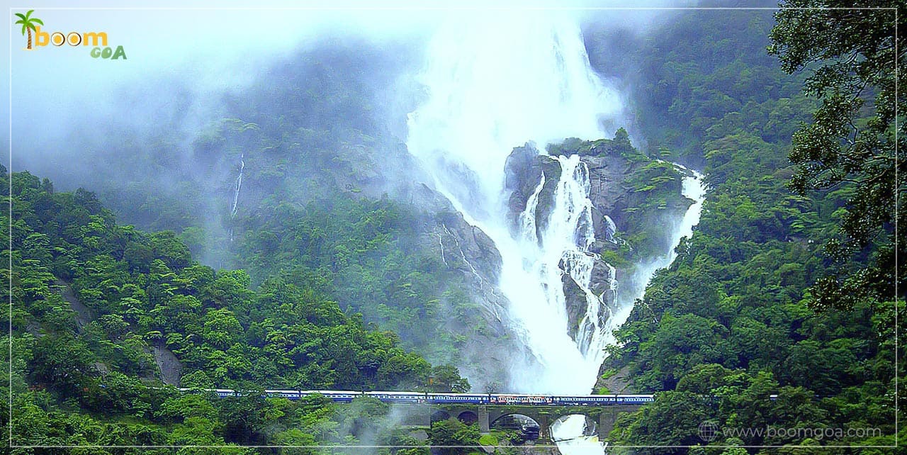 Dudhsagar waterfall adventure trip in Goa